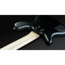 Warwick Artist Line Robert Trujillo 4