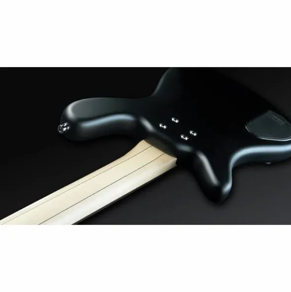 Warwick Artist Line Robert Trujillo 4