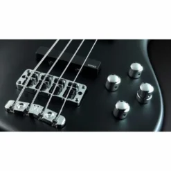 Warwick Artist Line Robert Trujillo 4