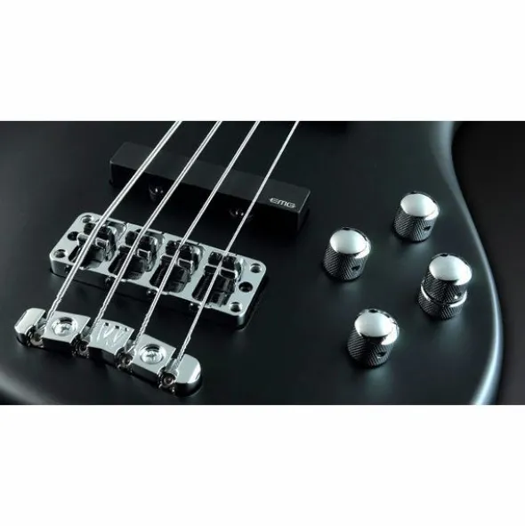 Warwick Artist Line Robert Trujillo 4