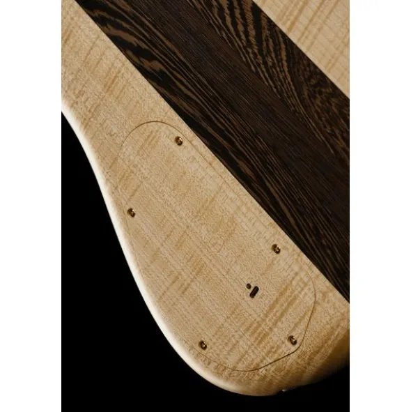 Warwick Masterbuilt Streamer Stage I 5