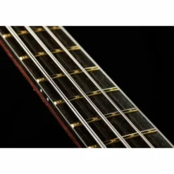 Warwick Masterbuilt Thumb Bass NT 4