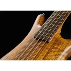 Warwick Pro Series Thumb BO 5