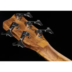 Warwick Pro Series Thumb BO 5
