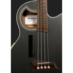 Warwick RB Alien 4 Dlx TL Hybrid SBB