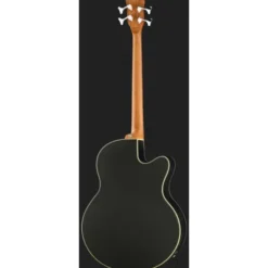 Warwick RB Alien Standard 4 FL NT LH