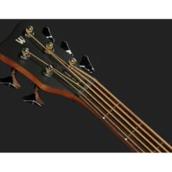 Warwick RB Alien Standard 5 NT LH