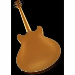 Warwick RB Star Bass 4 MGHP