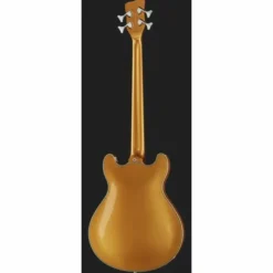 Warwick RB Star Bass 4 MGHP