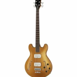 Warwick RB Star Bass 4 MGHP