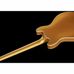 Warwick RB Star Bass 4 MGHP