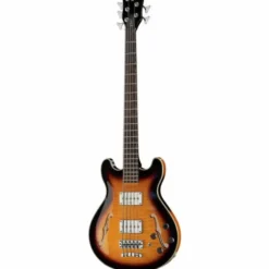 Warwick RB Star Bass 5 VSTHP