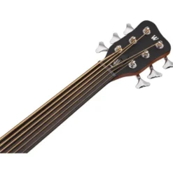 Warwick RockBass Alien Deluxe 6 NT FR