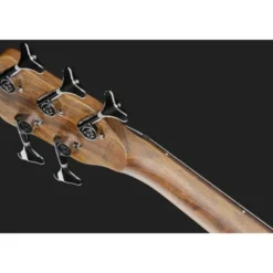 Warwick Teambuilt PS Corvette 5 Ash AT
