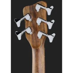 Warwick Teambuilt PS Corvette 5 Ash AT