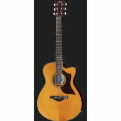 Yamaha AC5R ARE