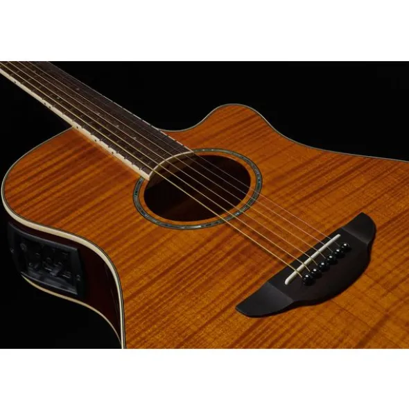 Yamaha APX 600 FM Amber