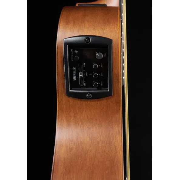 Yamaha APX 600 M SMB