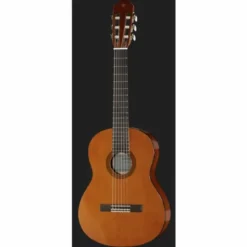 Yamaha CGS102A