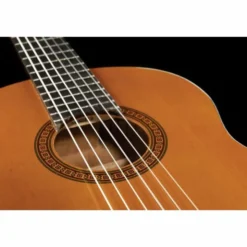 Yamaha CGS102A