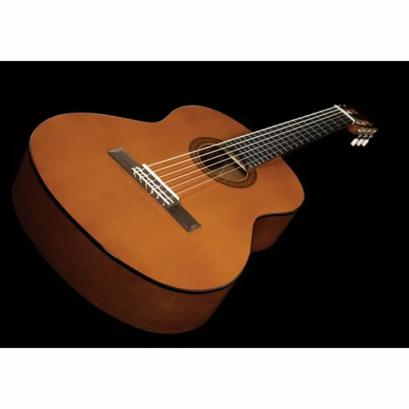 Yamaha CGS102A