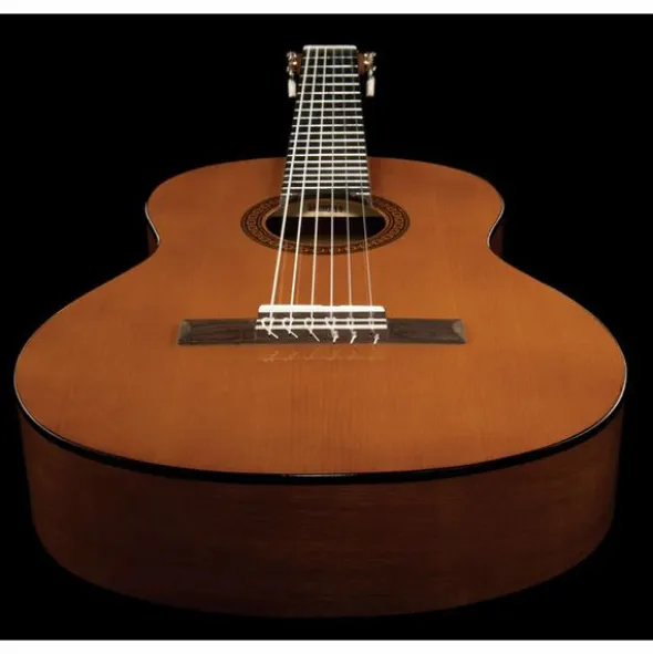 Yamaha CGS102A