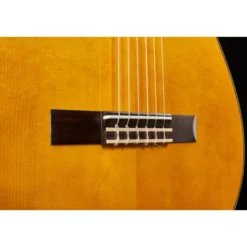 Yamaha CG-TA NT Transacoustic