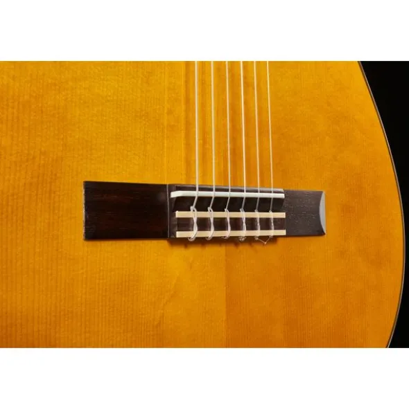 Yamaha CG-TA NT Transacoustic