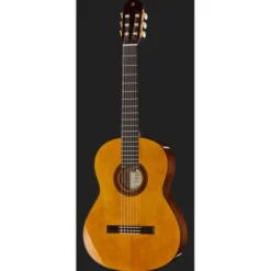Yamaha CG-TA NT Transacoustic