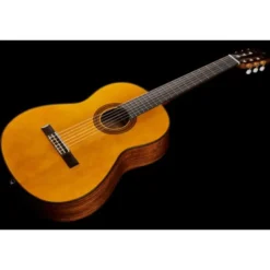 Yamaha CG-TA NT Transacoustic