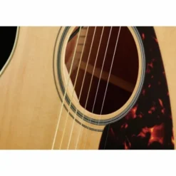 Yamaha FGX820C NTII