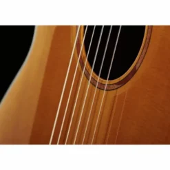 Yamaha NCX1FM NAT
