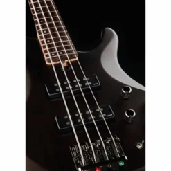 Yamaha TRBX 504 TBL