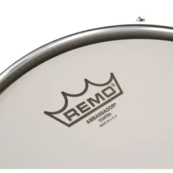 Zebra Drums Studio London Plane Tree Set