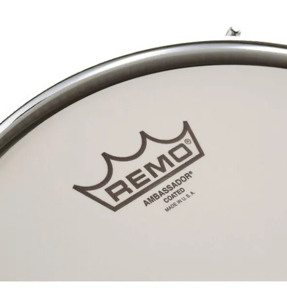 Zebra Drums Studio London Plane Tree Set