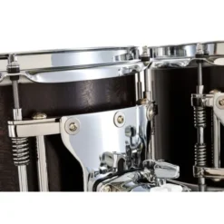 Zebra Drums Studio London Plane Tree Set