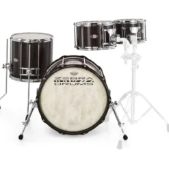Zebra Drums Studio London Plane Tree Set