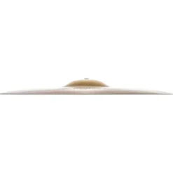 Zildjian 20