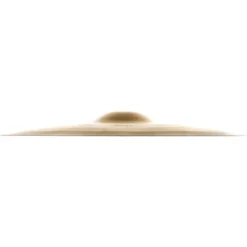 Zildjian 20
