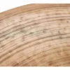 Zultan 19" Heritage Crash
